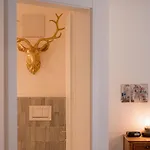 Balmas Paradies-perfect Family زيرمات